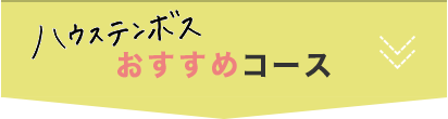 ハウステンボス（Huis Ten Bosch） おすすめコース