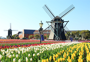 四季を彩る花々