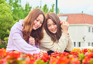 四季を彩る花々