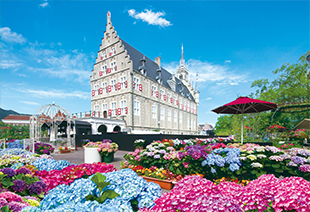 四季を彩る花々