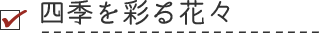 四季を彩る花々