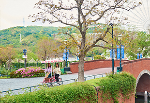 レンタサイクル フィッツ