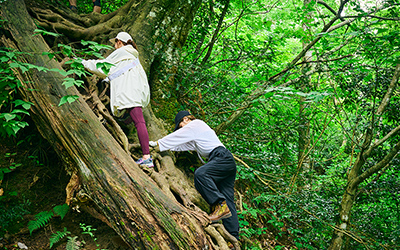 三徳山三佛寺投入堂 (みとくさんさんぶつじなげいれどう)